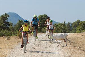 Familienausflug mit dem Mountainbike